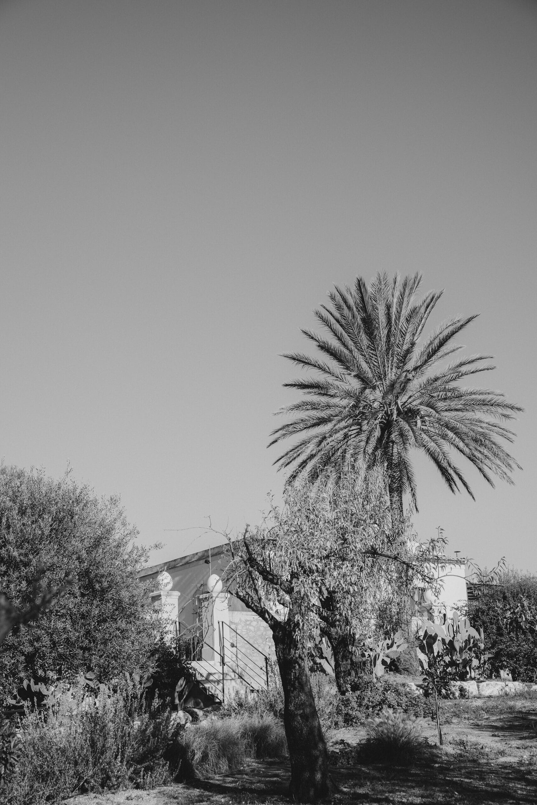 Hochzeit Sicily – Bild 53 von 59